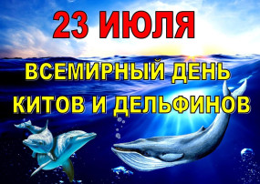 Всемирный день китов и дельфинов Всемирный день китов и дельфинов.