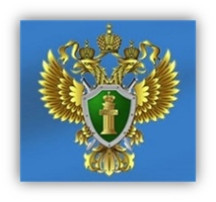 Сасовской межрайонной прокуратурой выявлены нарушения при реализации национального проекта «Безопасные и качественные ав-томобильные дороги» Сасовской межрайонной прокуратурой выявлены нарушения при реализации национального проекта «Безопасные и качественные ав-томобильные дороги».